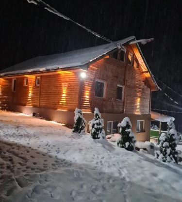 Šumska vila Gašić