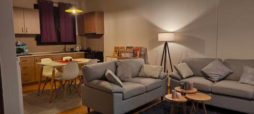 Διαμέρισμα παραποτάμια Νάουσα