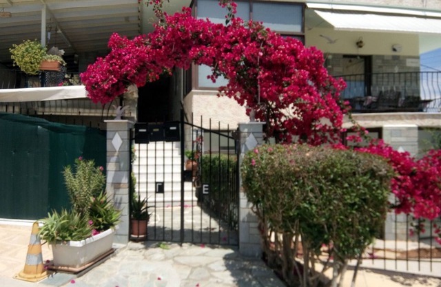 ΜΙΑ ΩΡΑΙΑ ΗΜΕΡΑ ΞΕΚΙΝΑ ΜΕ ΧΑΜΟΓΕΛΟ ΔΕΝ ΚΟΣΤΙΖΕΙ ΤΙΠΟΤΑ ΑΛΛΑ ΕΙΝΑΙ ΠΟΛΥΤΙΜΟ