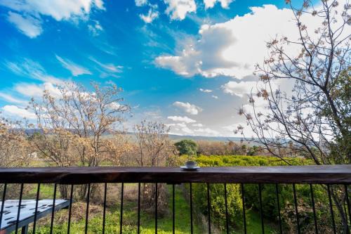 צימרים בצפון - עץ נוי