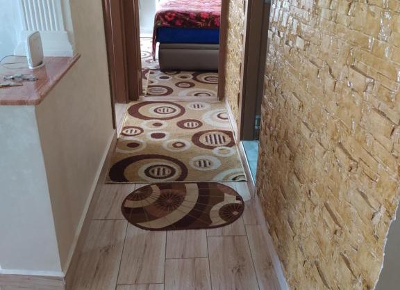 الضحى طريق أشقار