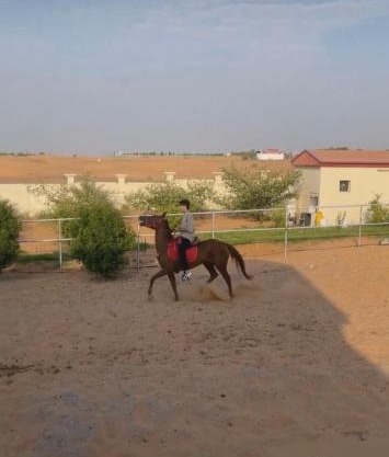 مزرعة العائلة