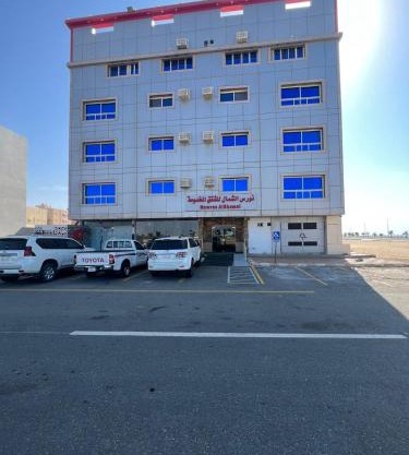 نورس الشمال - أملج