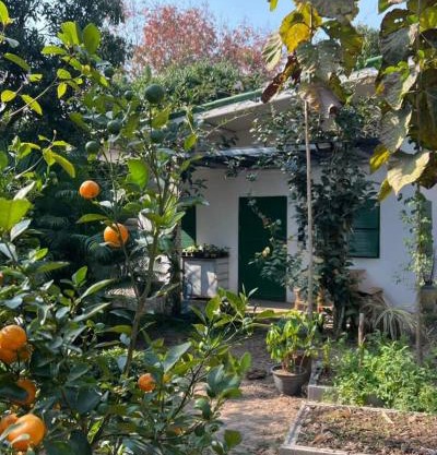 บ้านมะลิ