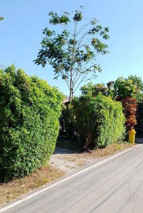 บ้านสโนว์เขาค้อ