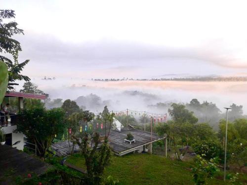 บ้านไร่เสือโคร่ง