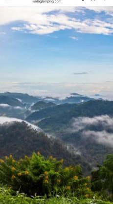 เขาใหญ่