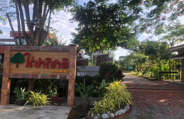 ไร่ปาริชาติ