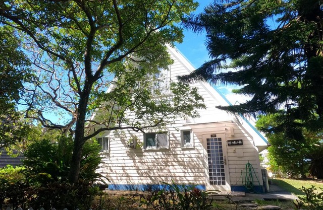 にらい恩納 杉の木