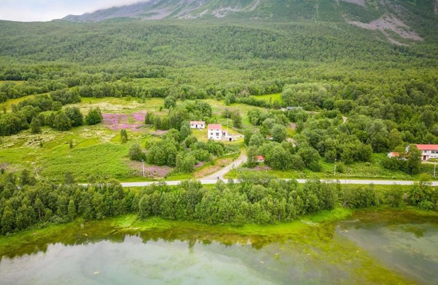 极光民宿Northern Lights