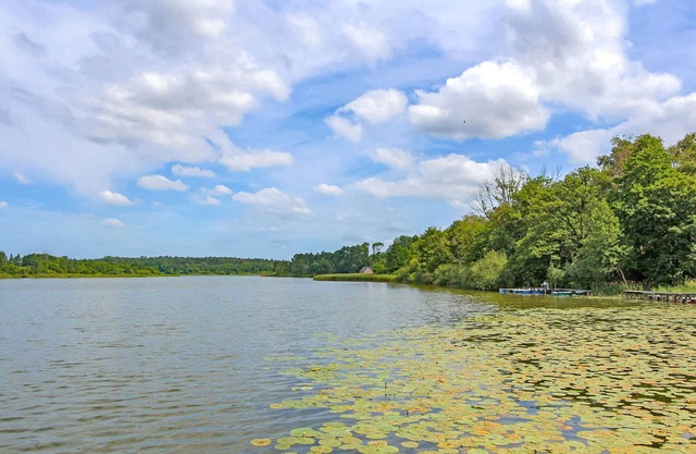 1 bedroom accommodation in Zettemin OT Rützenfeld