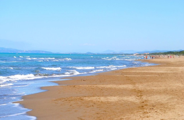 1 bedroom accommodation in C. Val di Cecina