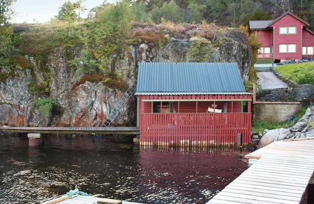 10 person holiday home in HOSTELAND-By Traum