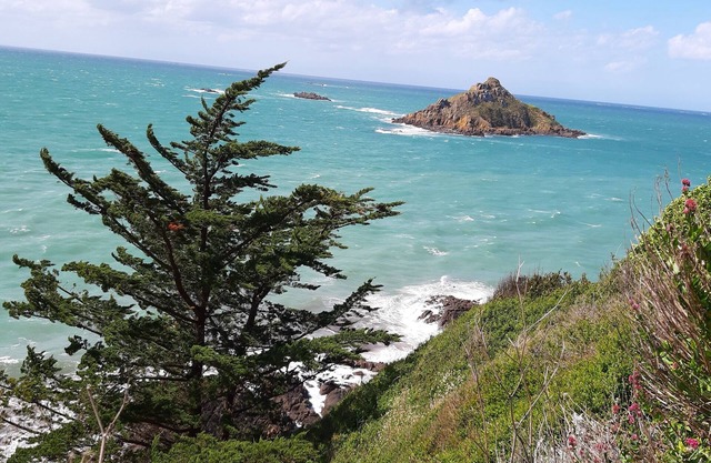 100m from the beach, nice T3 with terrace and sea view