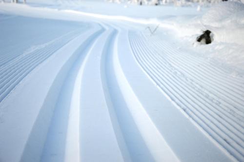 12 - Fulufjellets nasjonalparker - snø - alpint - langrenn - snøscooter