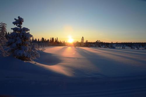 16 - Fulufjellets nasjonalparker - snø - alpint - langrenn - snøscooter