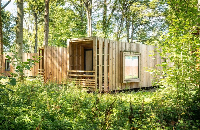 2-4 person The Treeloft in the holiday park Landal Forest Resort Your Nature