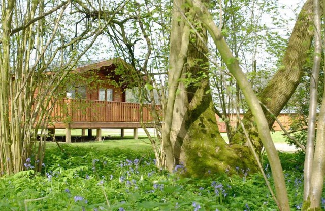 2 Bedroom, Luxury Woodland Lodge (sleeps 4)