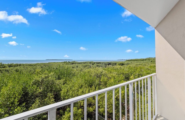 2 Oceanview Suites! Full Kitchens, Outdoor Pool! Close to John Pennekamp Park