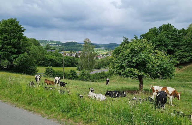 2 pers. apartment C, boxspring bed, shower/wc, - Gasthaus Paula