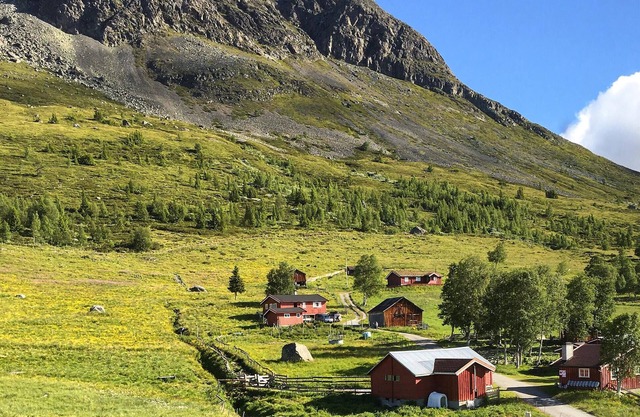 3 bedroom lovely home in Hemsedal