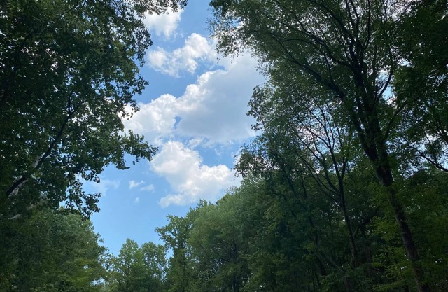 3-bedroom luxury vacation townhome in charming Glen Burnie with WiFi, AC