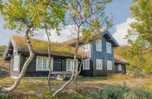 3 bedroom nice home in Oppdal