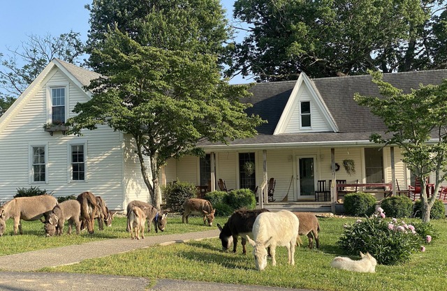 3547 Pleasant Run Rd