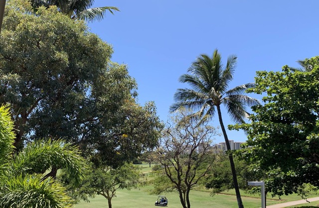 3BR for the Price of 2. Golf Course View & Golf Cart too!