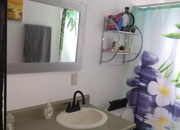 4 bedroom ranch, 30 minutes to Chicago