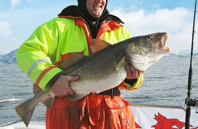 6 person holiday home in Bø I Vesterålen