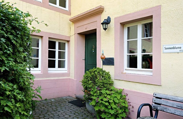 8-bed apartment (sunflower) - 3 stars - Nengshof