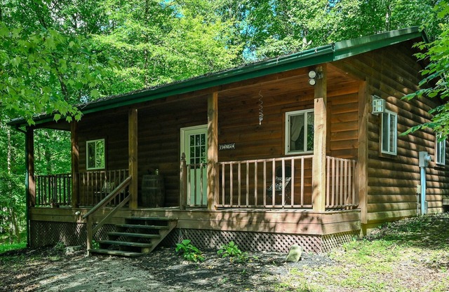 A Beary Cozy Cabin in Hocking Hills
