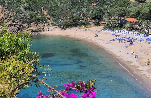 A few steps from the sea rdv est special offer free wifi