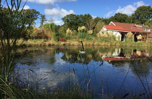A little oasis in the middle of nature