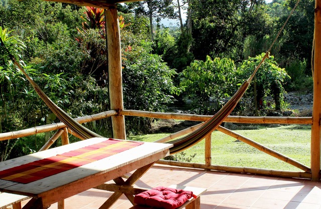 A little peace of heaven - birdwatchers paradise - huge tropical land - WiFi