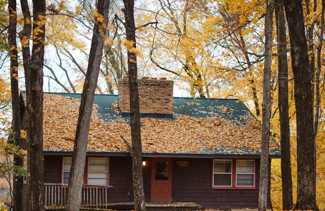 A natural gem, 103-acre camp, just outside Minneapolis