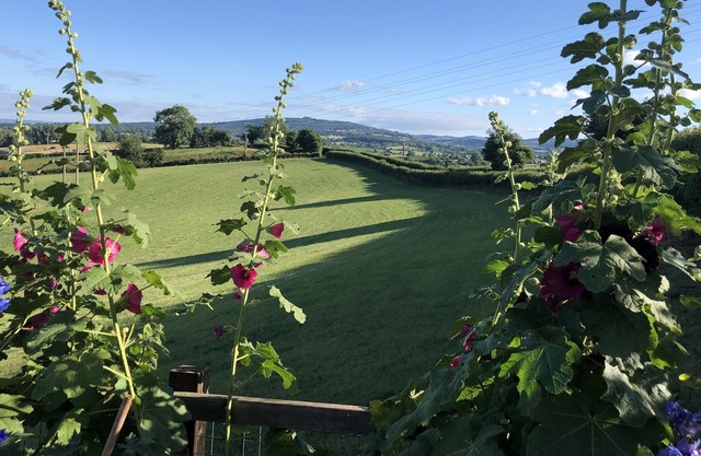 A newly Renovated and Exclusive Studio