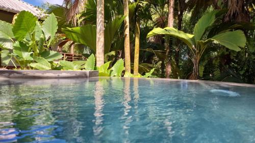 A Peace In Paradise