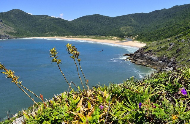 A piece of paradise - Florianopolis