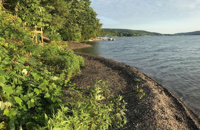 A Quiet Oasis on Otisco Lake