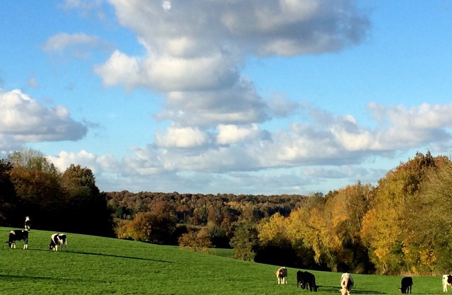 A romantic hideaway with a Nordic spa to get back to the heart of Calvados