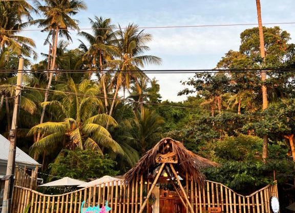 AA Jungle Guesthouse
