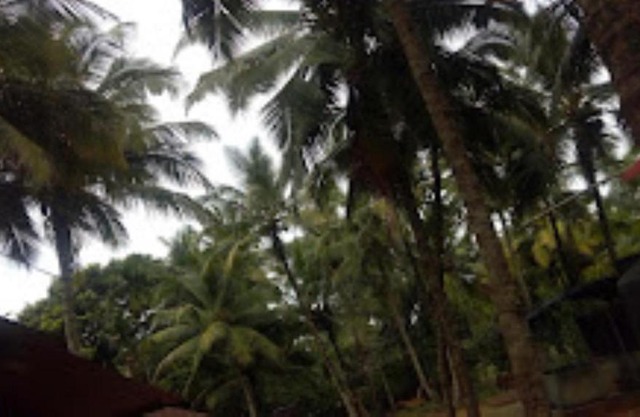 Aaichchha Nyahari Niwas MALVAN