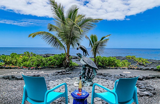 Absolute Oceanfront on Ancient Lava Cliffs! Whales, dolphins, turtles!