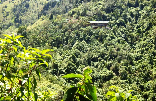 Abundant and peaceful nature in the vicinity of Quito