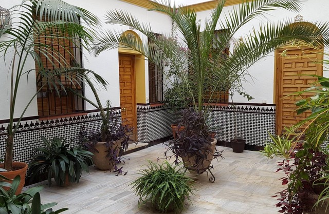 Accommodation in typical house of Cordoba