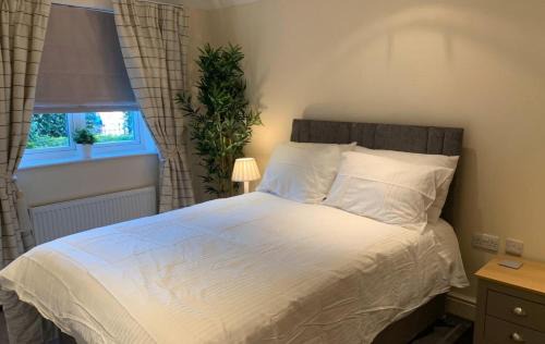 Addlestone - Stylish and modern 2 bedroom apartment