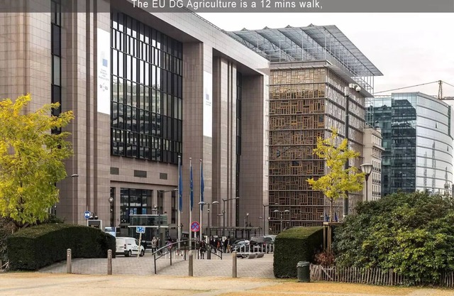 Adorable, Modern City Central APT (EU District)