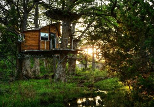 Adventures Await at this Stunning Tree House Retreat in Texas